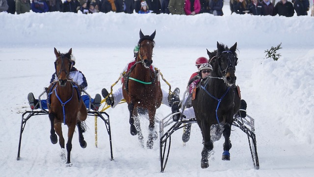 成为其他赛 成为其他赛