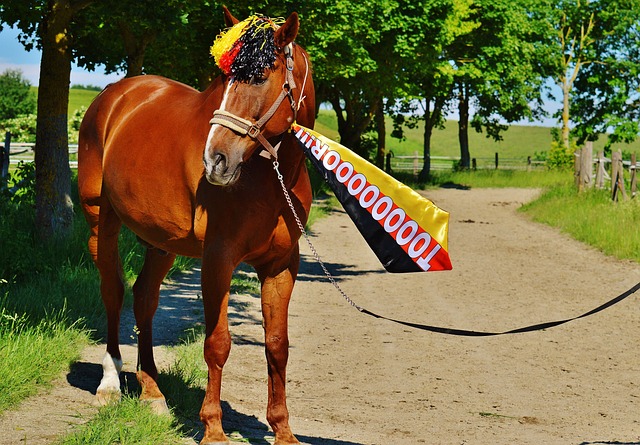 原因之一 原因之一