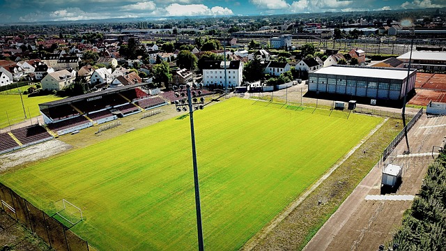 自己的不足 自己的不足